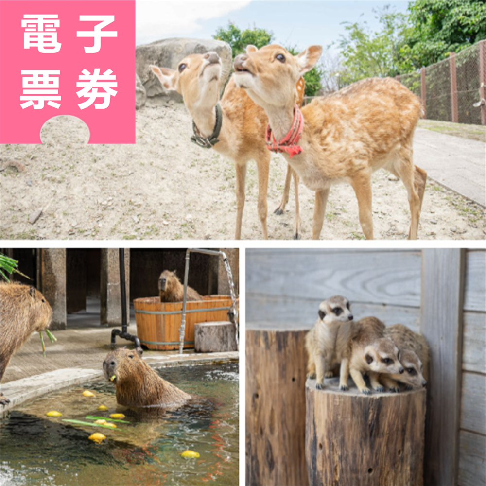 【電子票劵】宜蘭｜綠舞國際觀光飯店 住宿券 Ⓜ