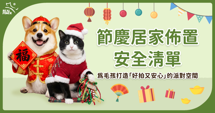 聖誕節、農曆新年居家佈置安全清單：加碼3招打造「好拍又安心」的犬貓友善派對空間