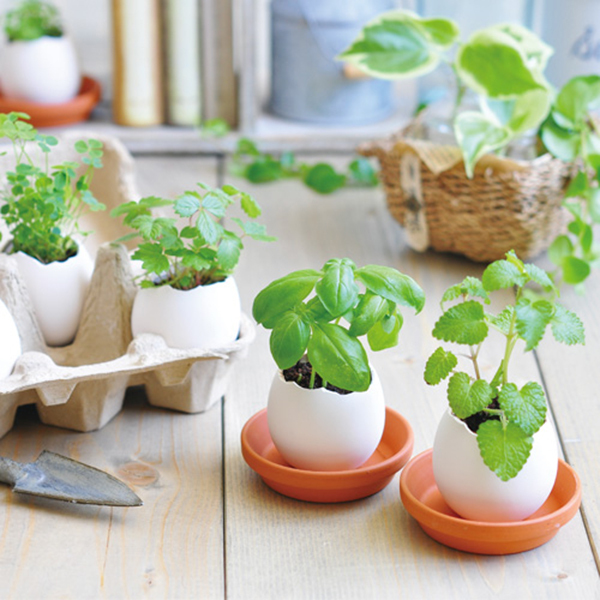 Eggling植物栽培蛋 [共6款可選擇]