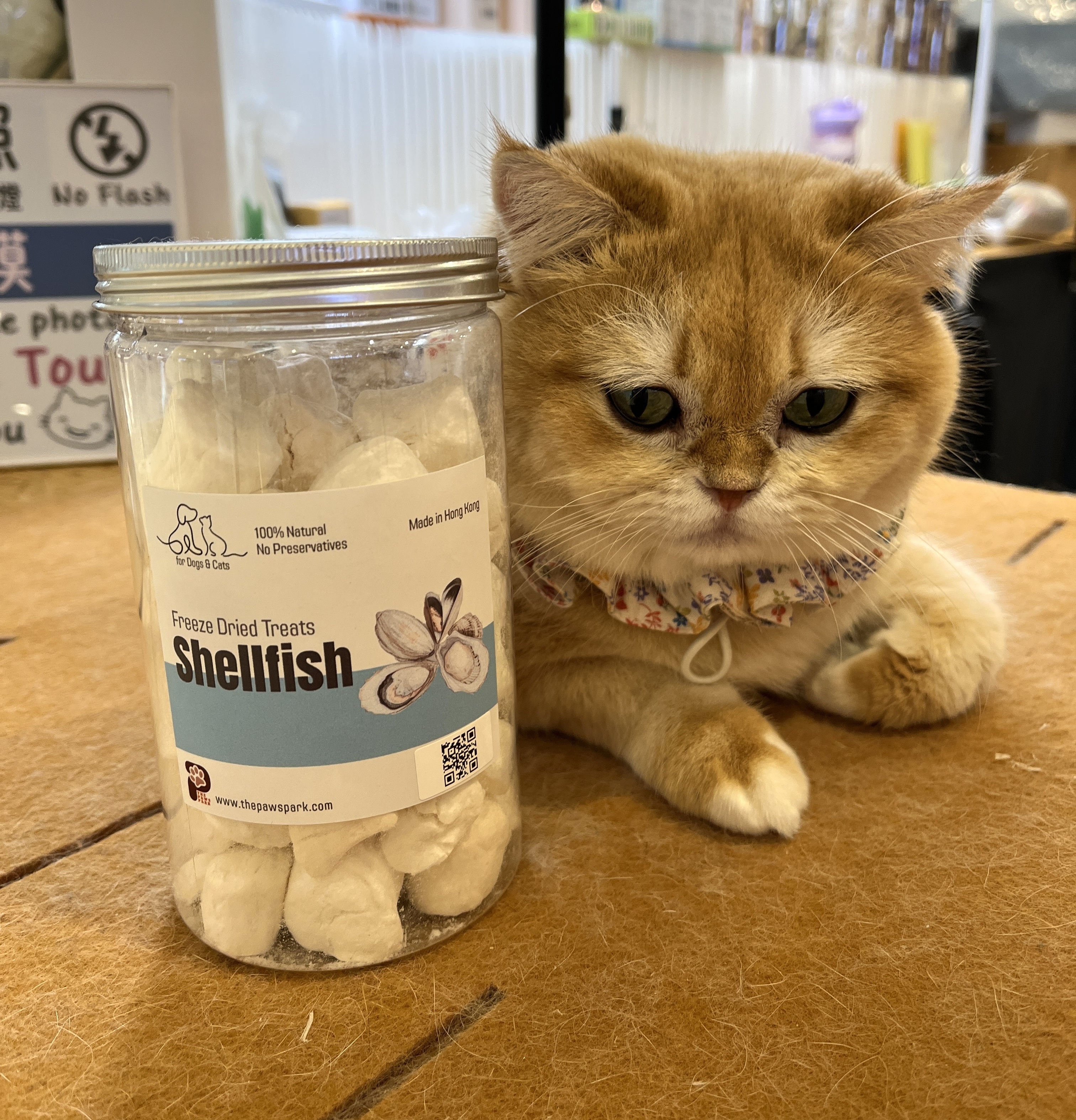Paws Park 日本刺身帶子凍乾 40g (貓狗食用）
