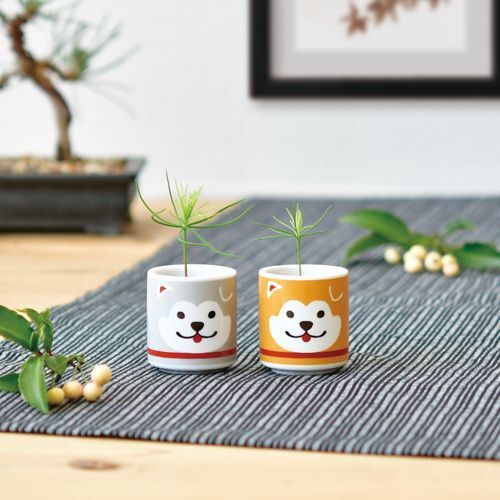 秋田忠犬植栽組 [共2款可選擇]