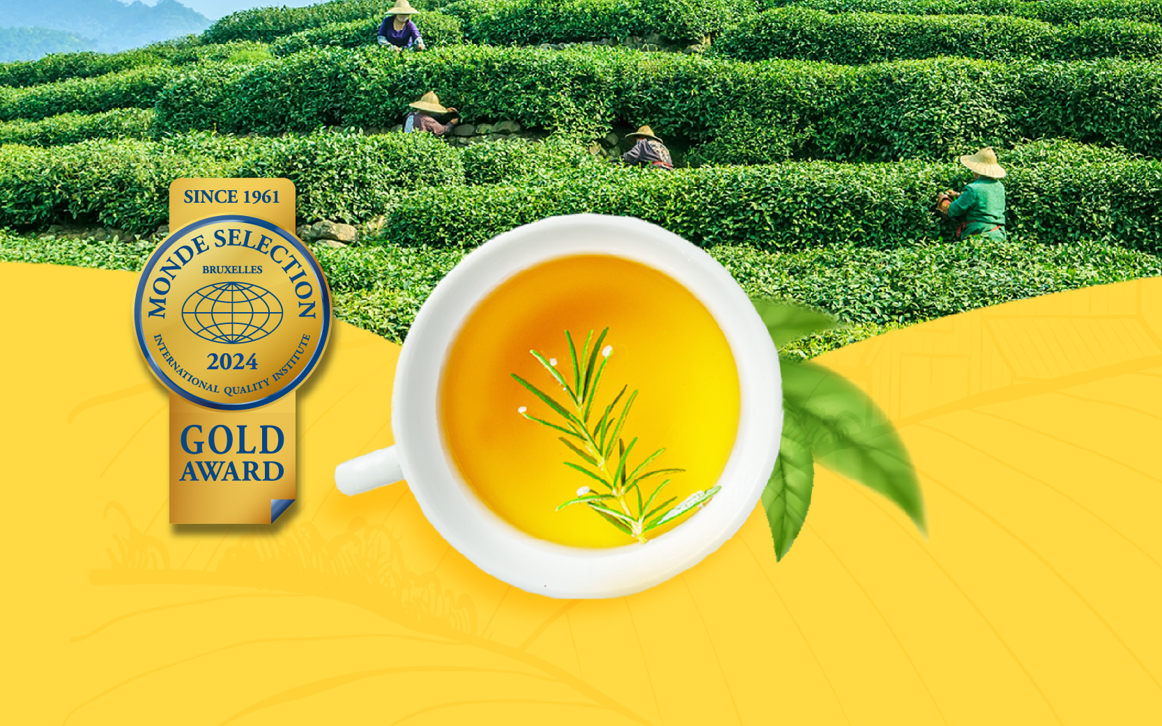 熟果紳士烏龍茶