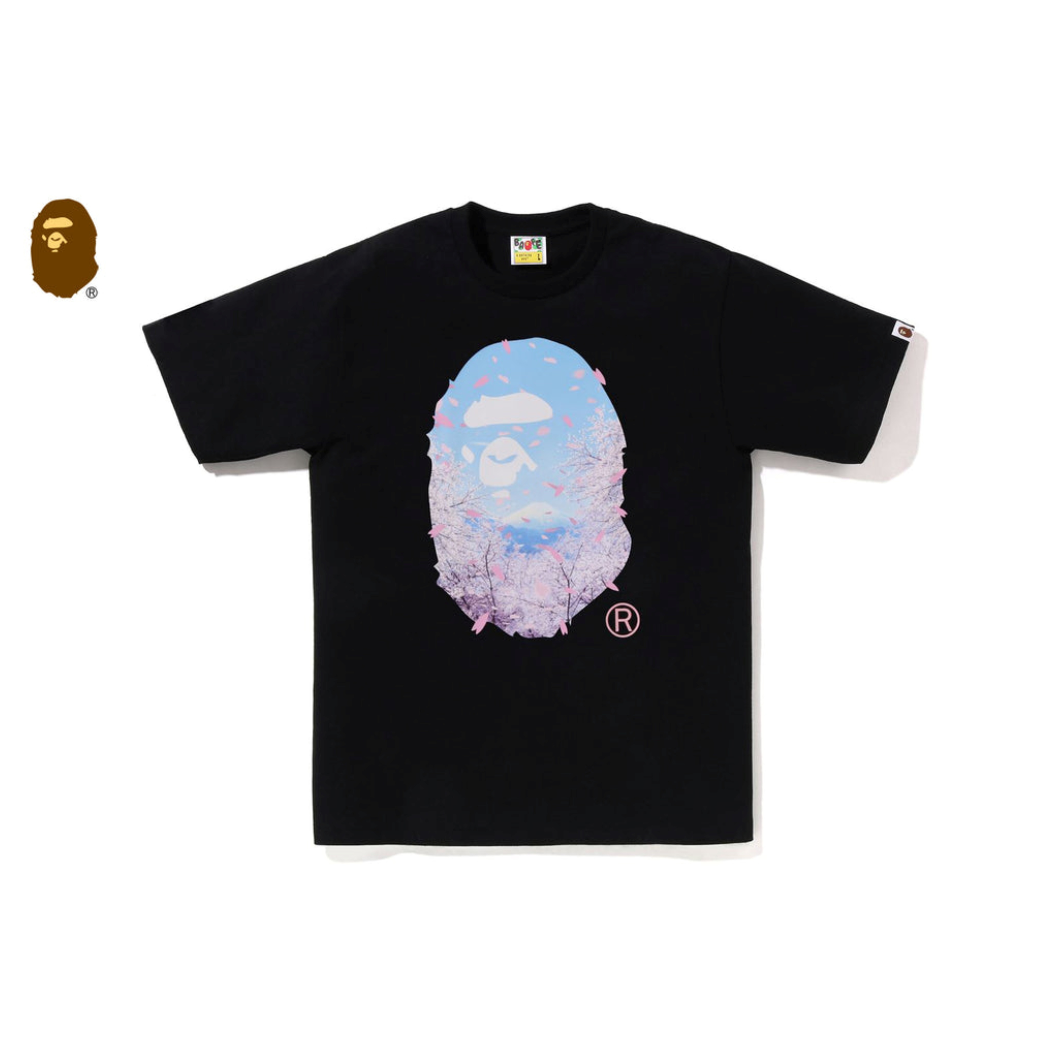 2026SS A BATHING APE BAPE SAKURA PHOTO APE HEAD TEE 富士山 櫻花 大頭 短T 現貨 1M20110011