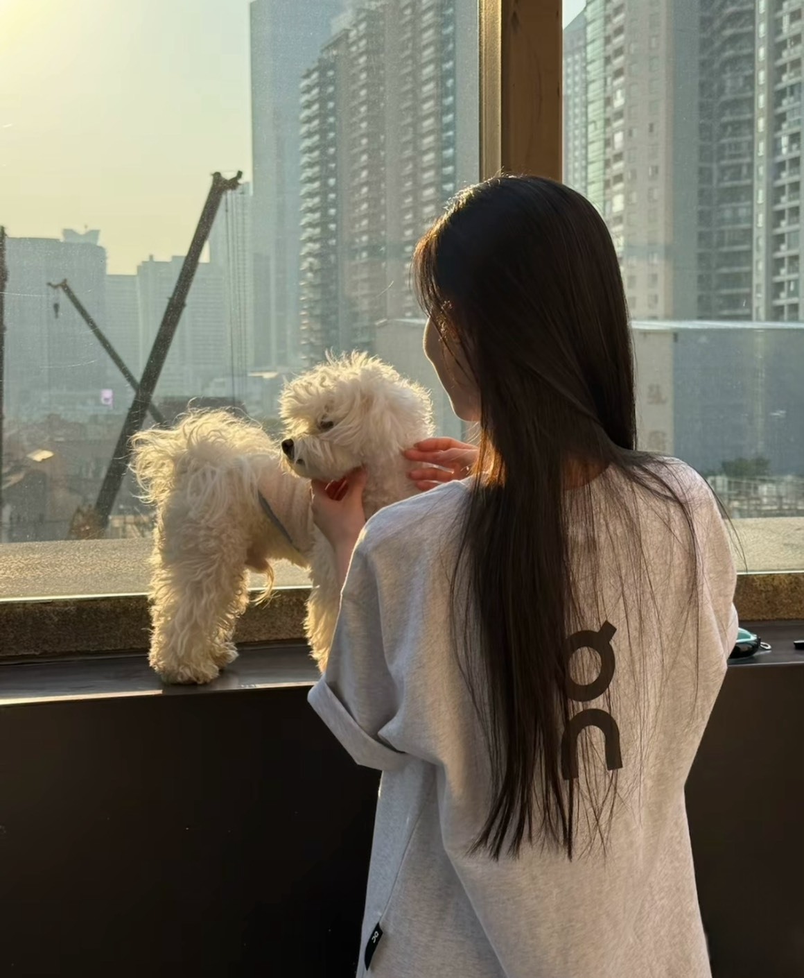 <首次開團>On Club T 昂跑 短踢 女款 5色