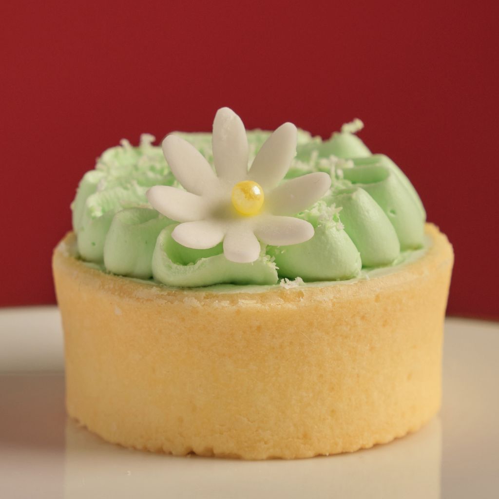 椰子斑蘭 輕盈撻