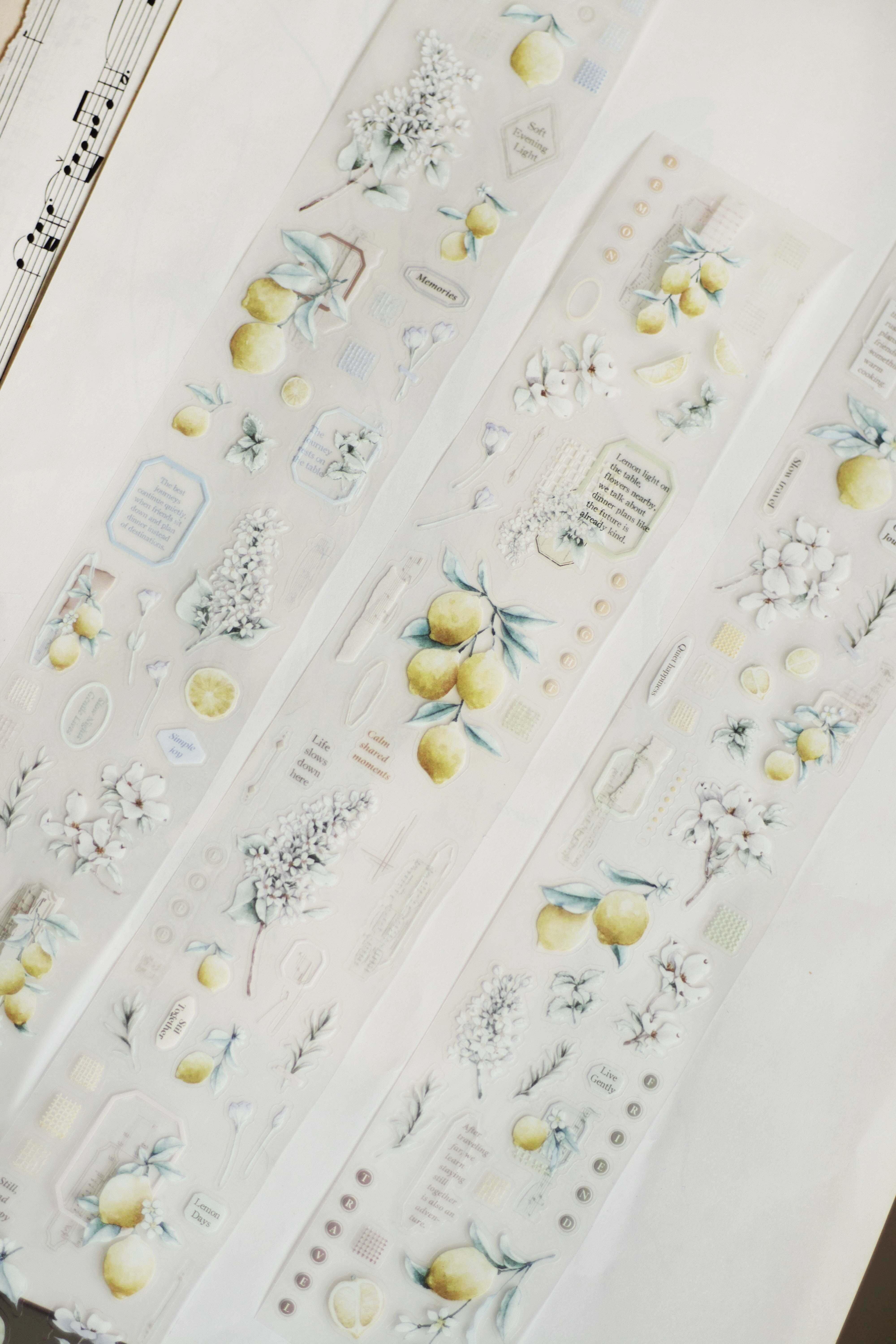 樂意Loi．黃光的旅行 5cm割型霧面PET膠帶 <整捲/分裝>