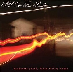 TV on the Radio《Desperate Youth, Blood Thirsty Babes》（美版CD）