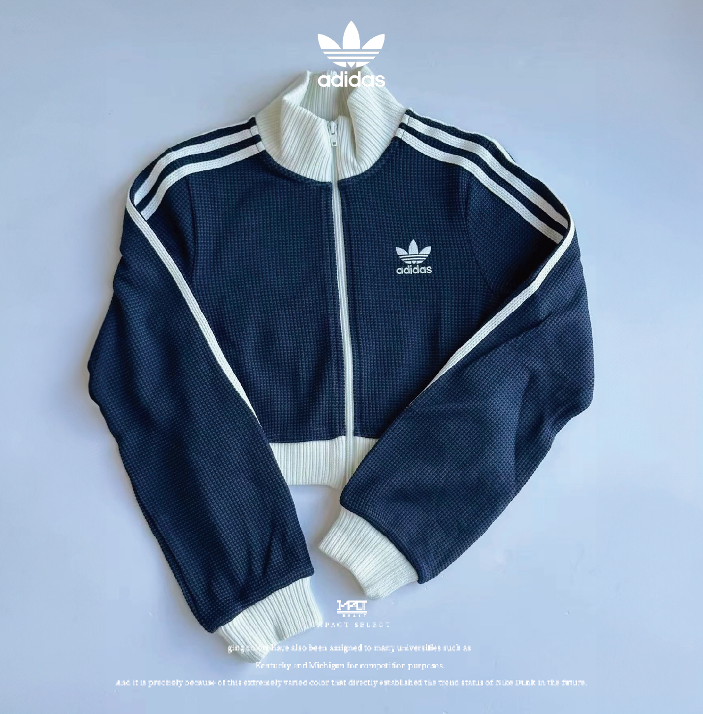 Adidas originals 休閒復古立領夾克 華夫格 外套  藍白 短版  KC2646