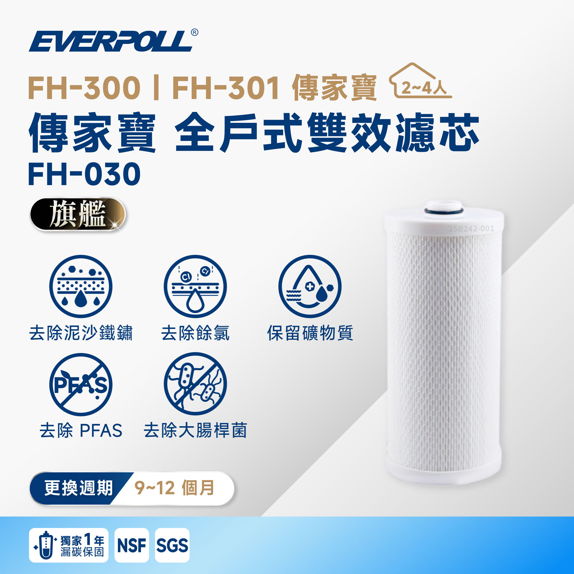 【EVERPOLL 愛科】FH-301 全戶式雙效濾芯 FH-030