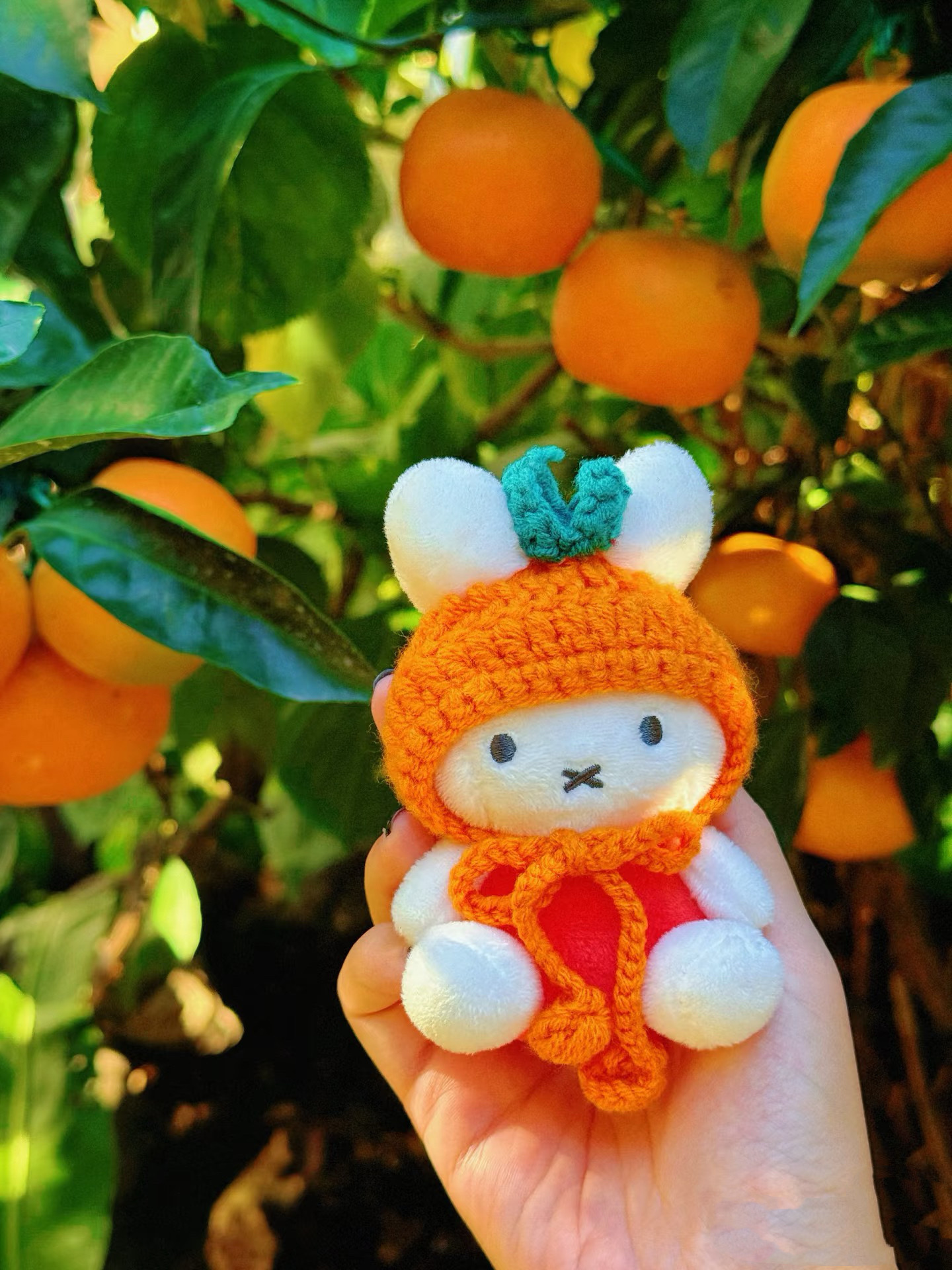 （預購）🇰🇷 濟州島限定 米菲兔 吊飾 鑰匙圈