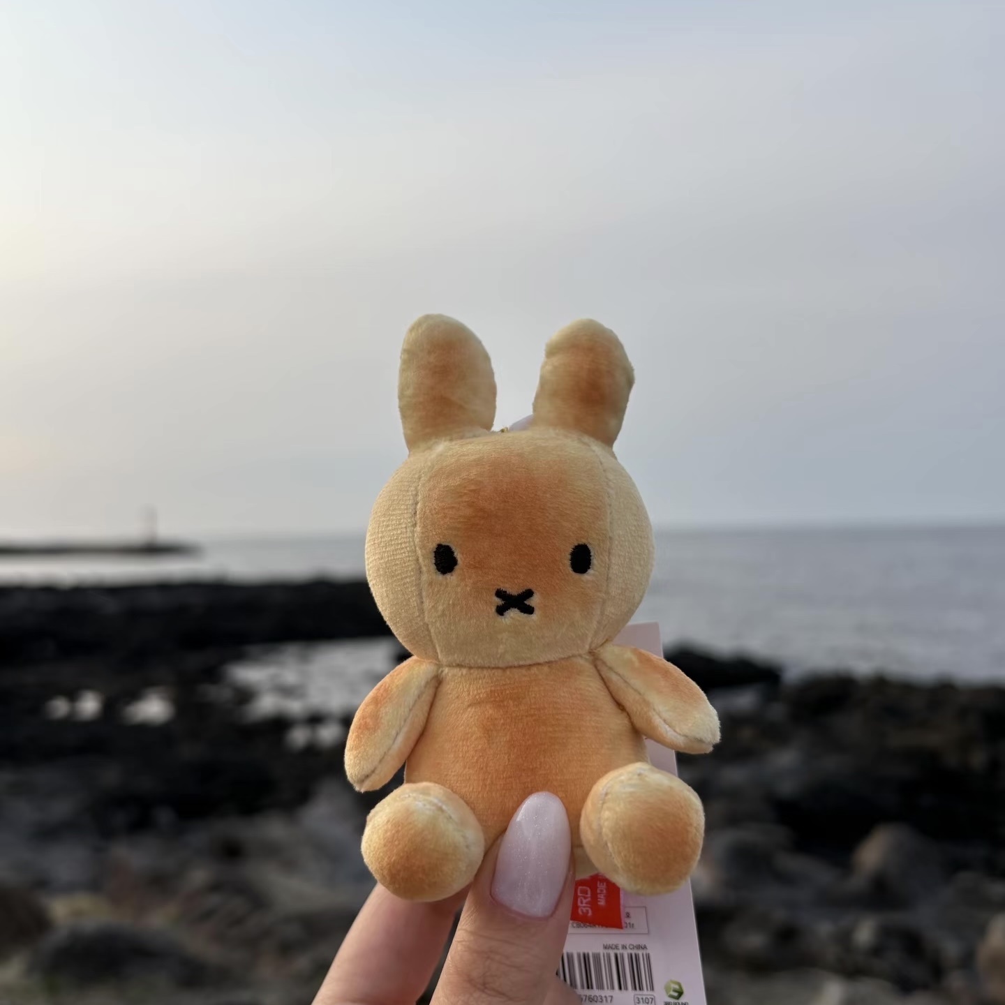 （預購）🇰🇷 濟州島限定 米菲兔 吊飾 鑰匙圈