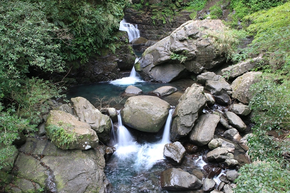 滿月圓國家森林遊樂區的是日治林業留下的痕跡，1896 年由日本人引進台灣。