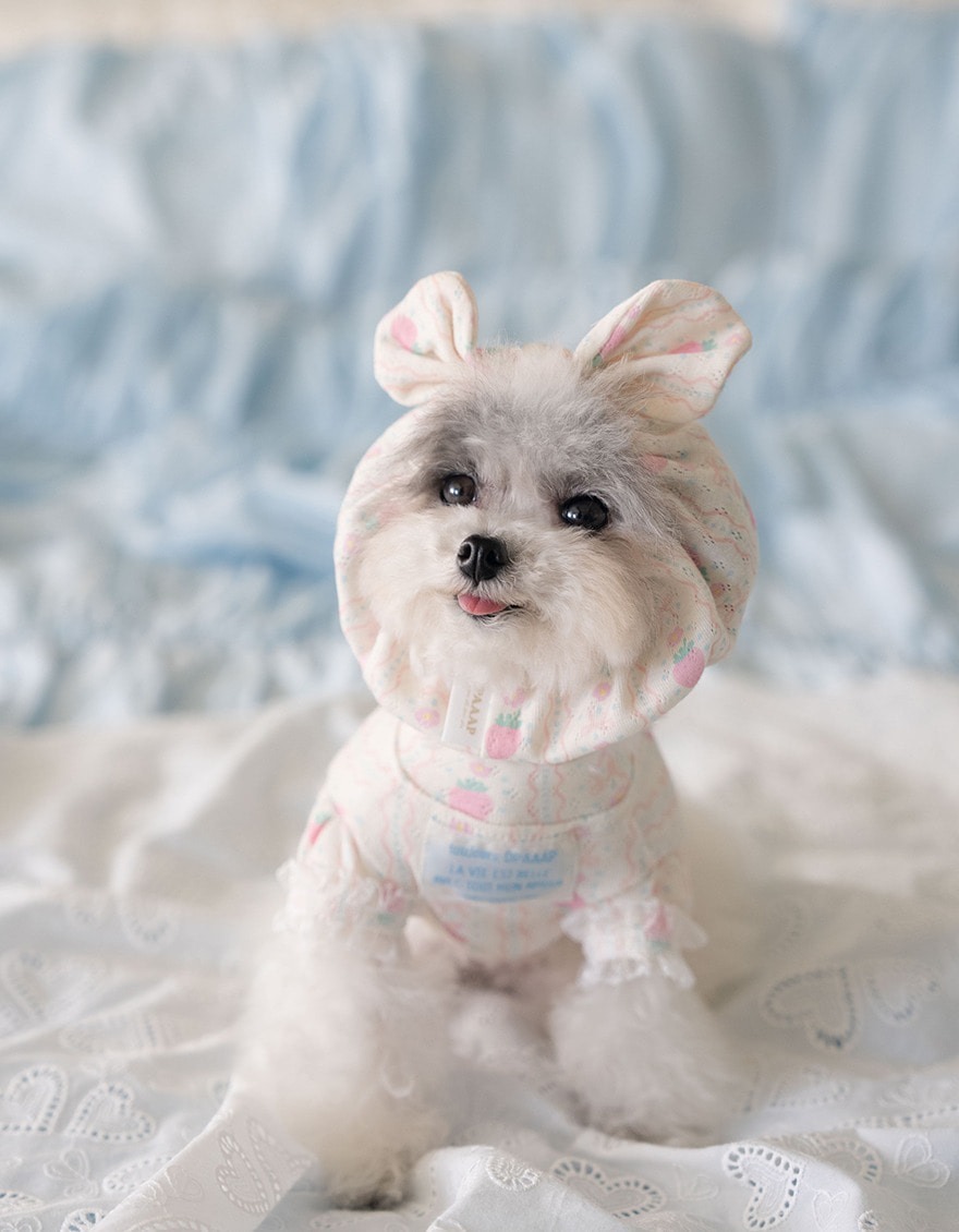 OPAAAP 甜甜頭套_草莓