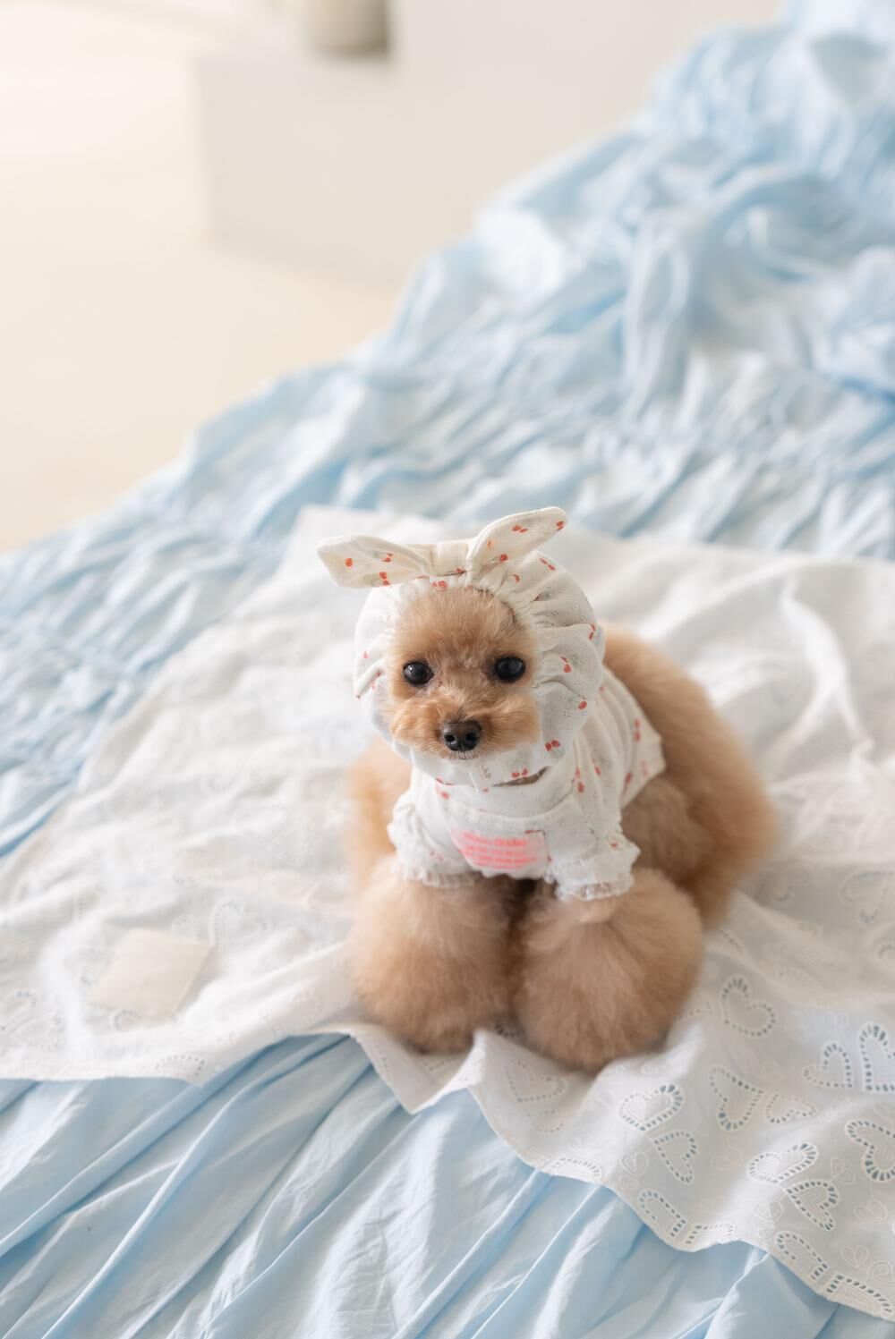 OPAAAP 甜甜頭套_櫻桃