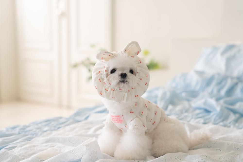 OPAAAP 甜甜頭套_櫻桃