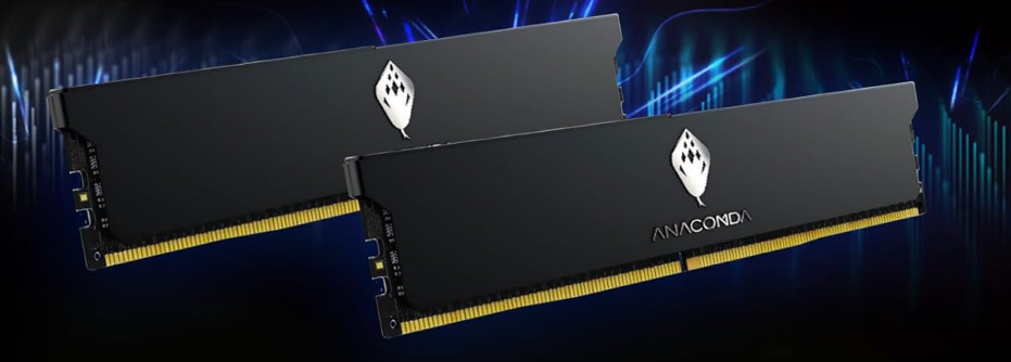 Anacomda Kingsnake DDR5 6000MHz 32GB(16GB X 2) CL38 記憶體