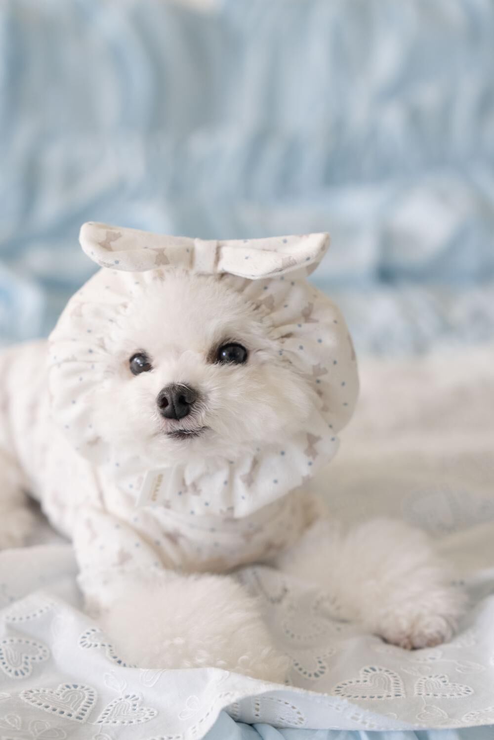 OPAAAP 甜甜頭套_蝴蝶結