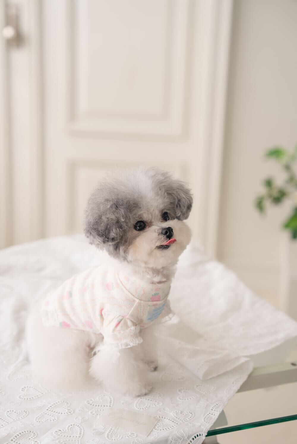 OPAAAP 甜甜T-Shirt_草莓