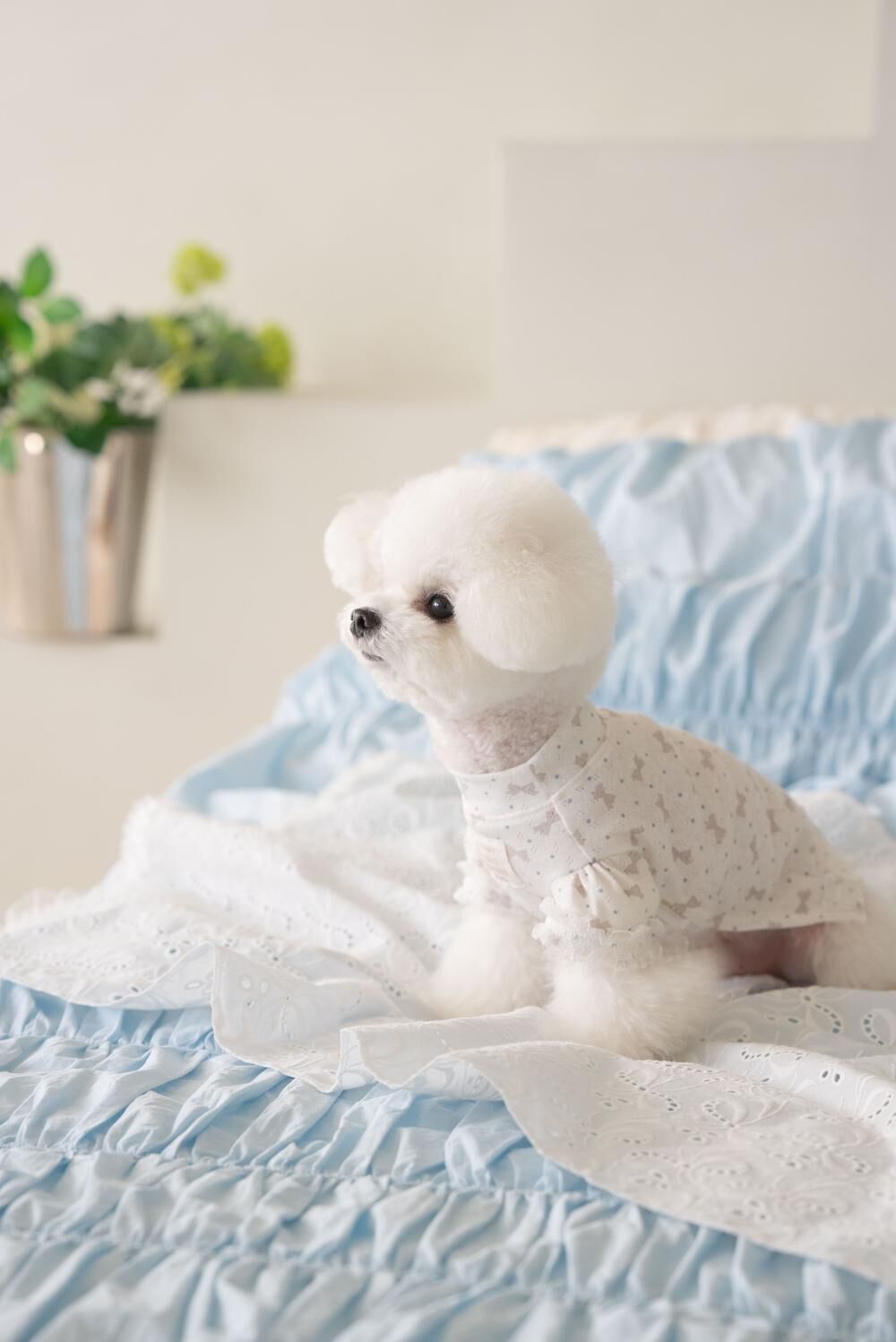 OPAAAP 甜甜T-Shirt_蝴蝶結