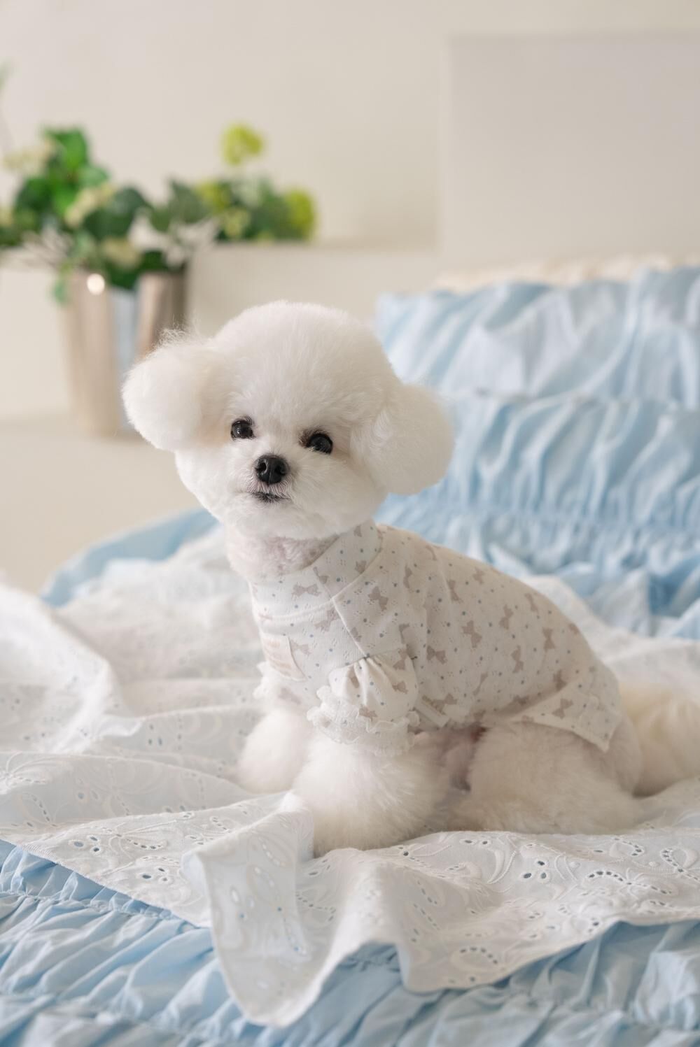 OPAAAP 甜甜T-Shirt_蝴蝶結