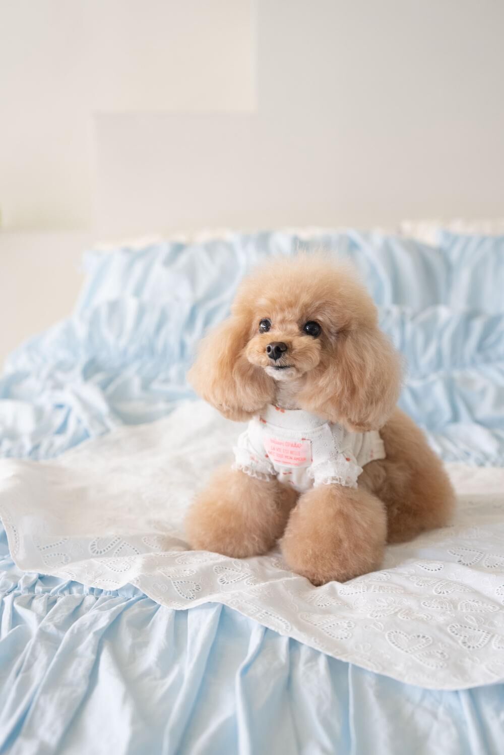 OPAAAP 甜甜T-Shirt_櫻桃