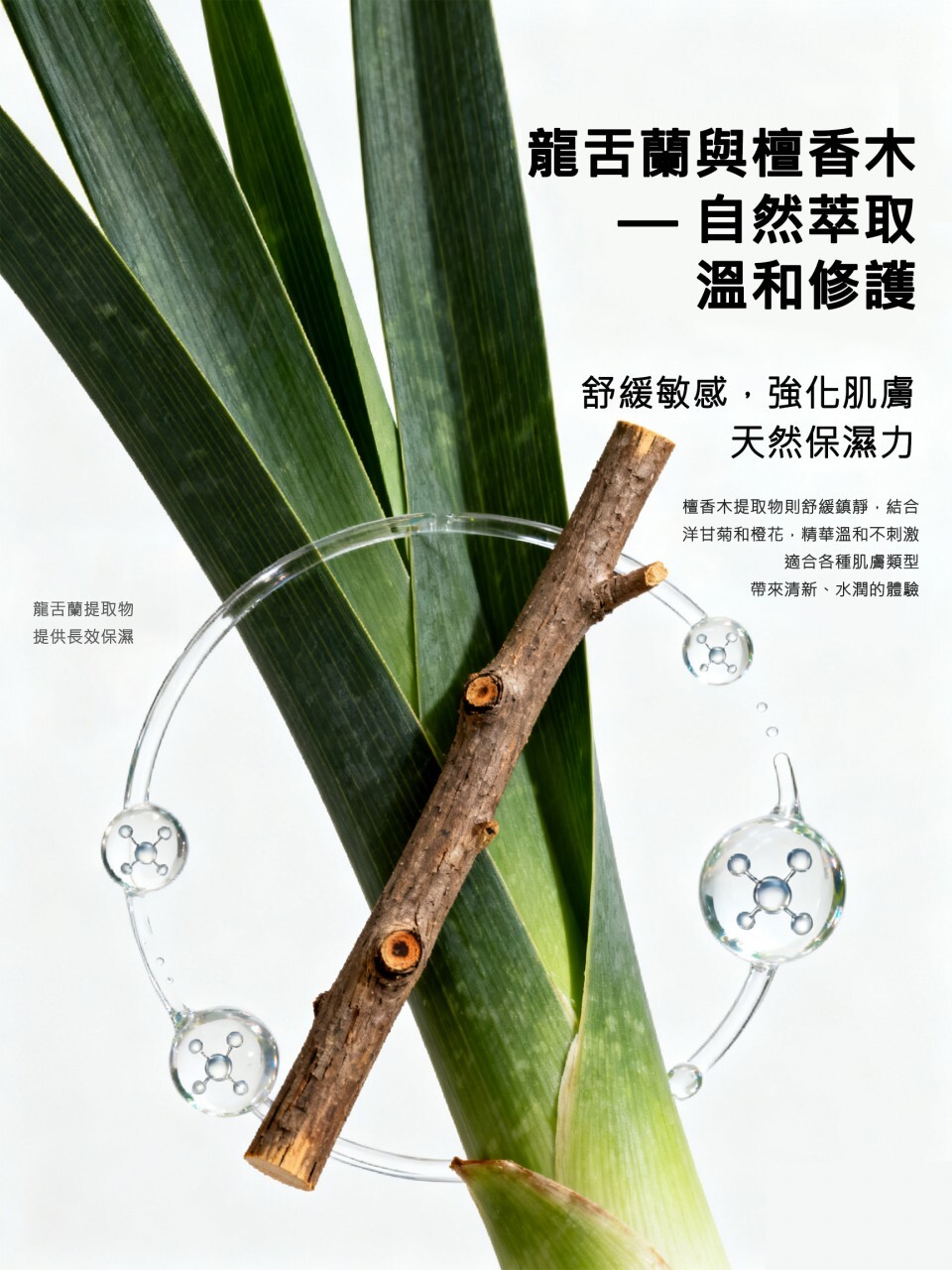 BIO LAB - 份子釘保濕精華(水光針)2.5mlx5支