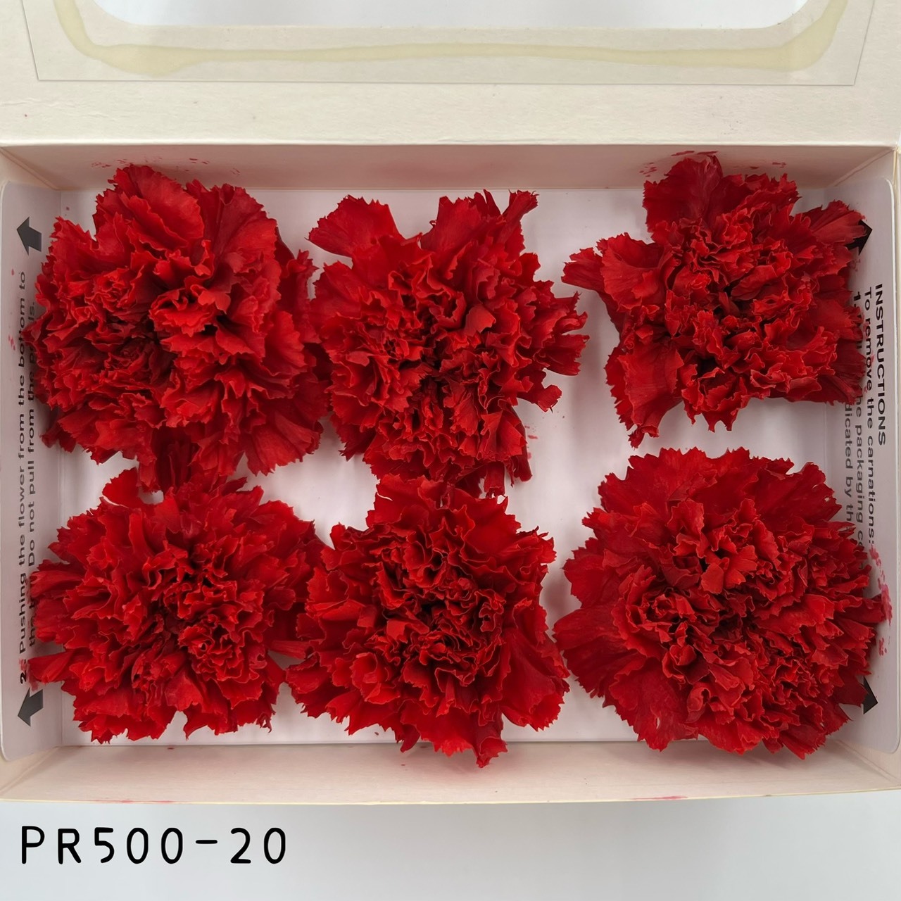 哥倫比亞 VERMEILLE 不凋康乃馨(6朵) PR500-20