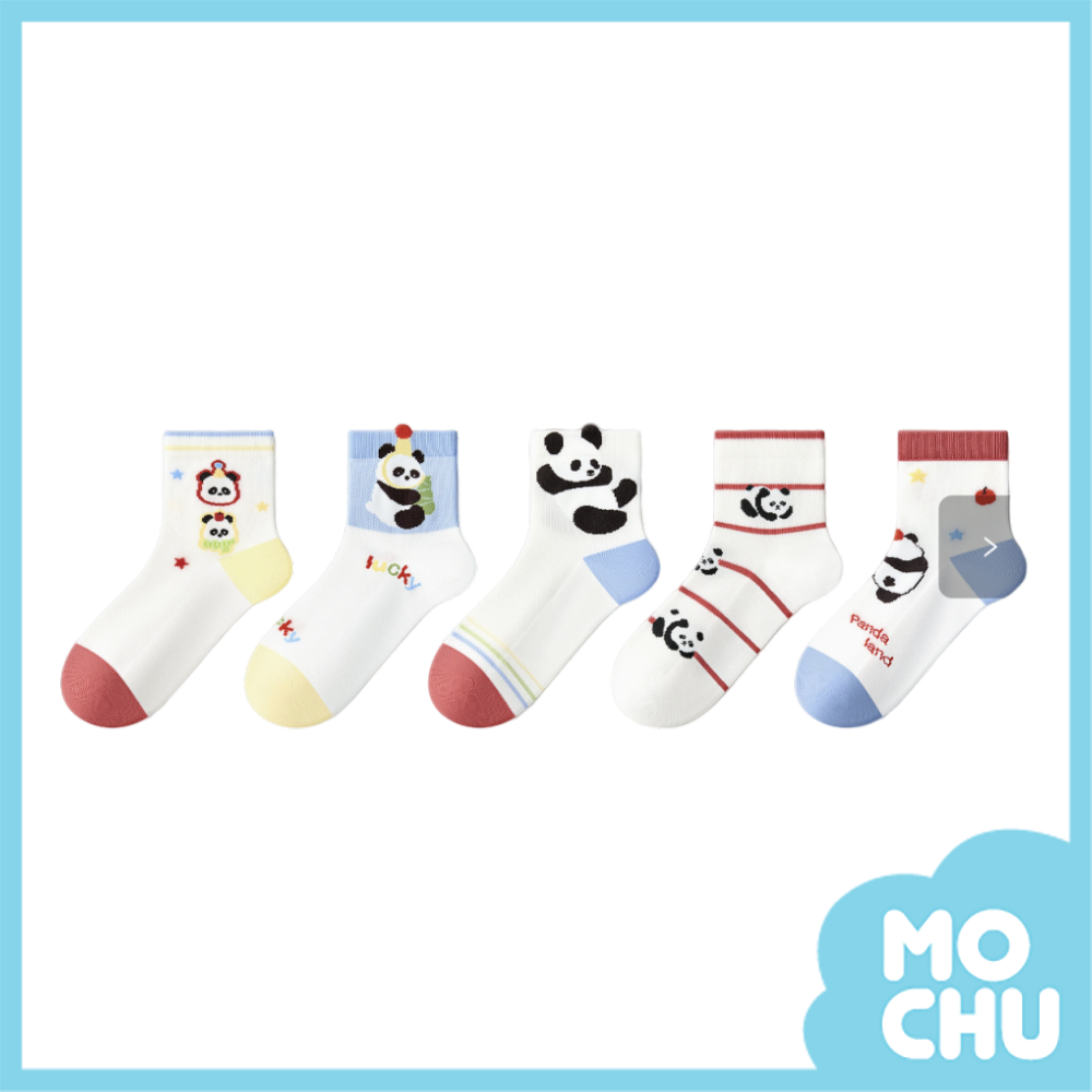 panda網眼透氣襪五入組