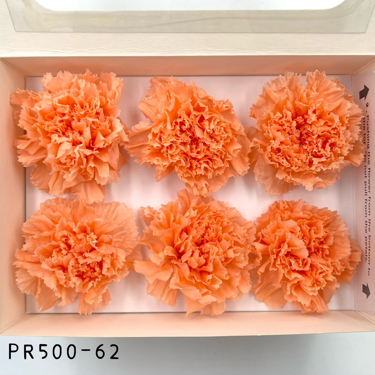 哥倫比亞 VERMEILLE 不凋康乃馨(6朵) PR500-62