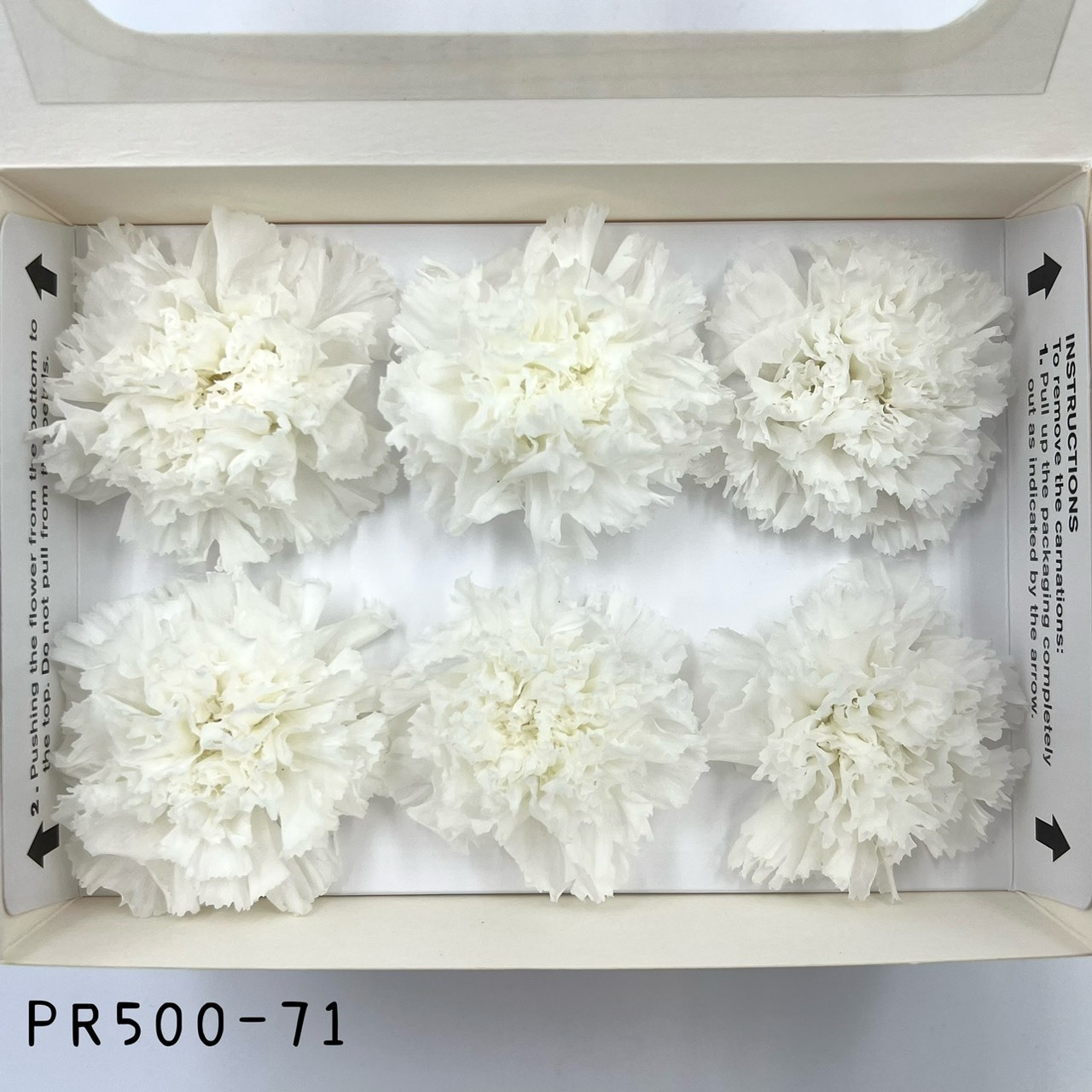 哥倫比亞 VERMEILLE 不凋康乃馨(6朵) PR500-71