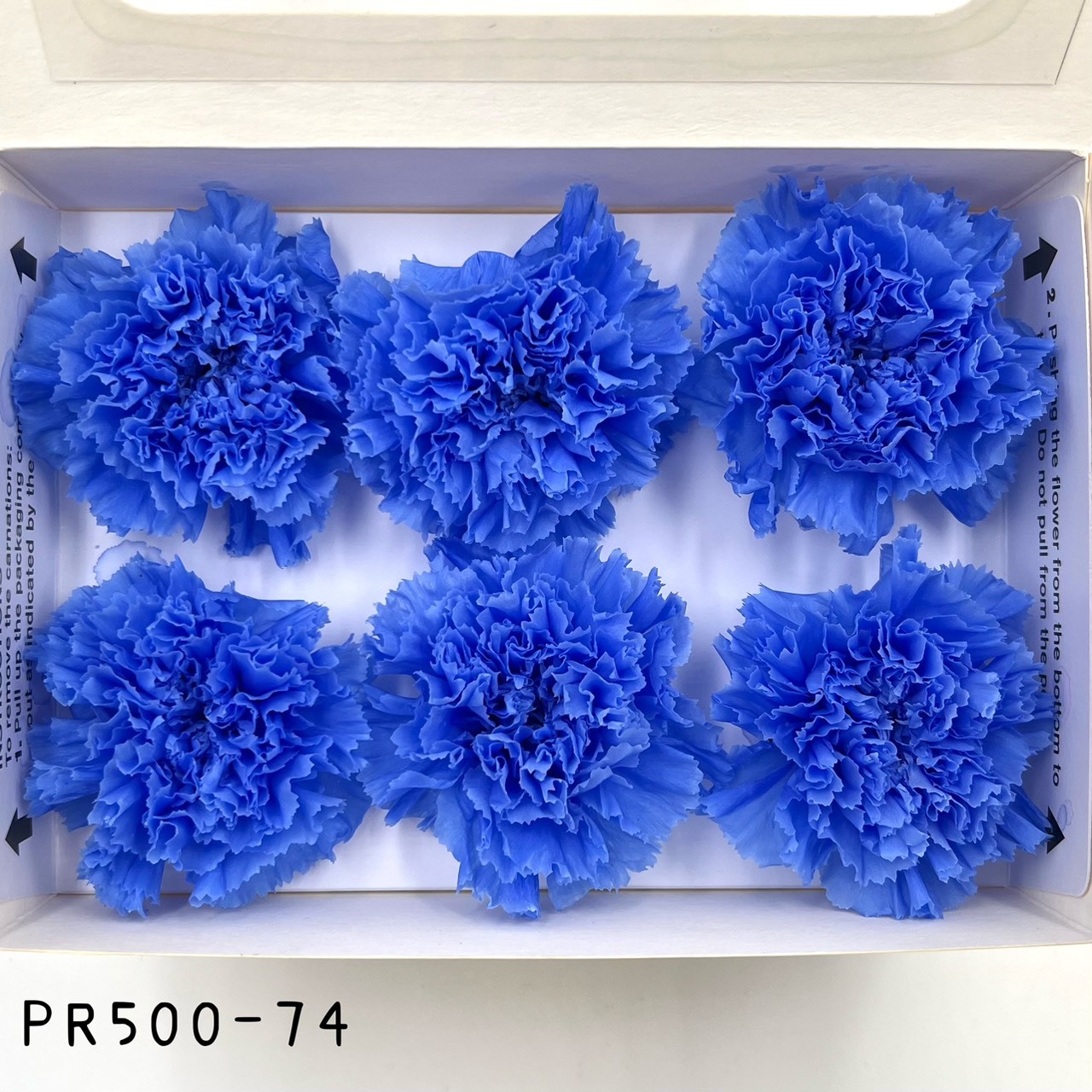 哥倫比亞 VERMEILLE 不凋康乃馨(6朵) PR500-74