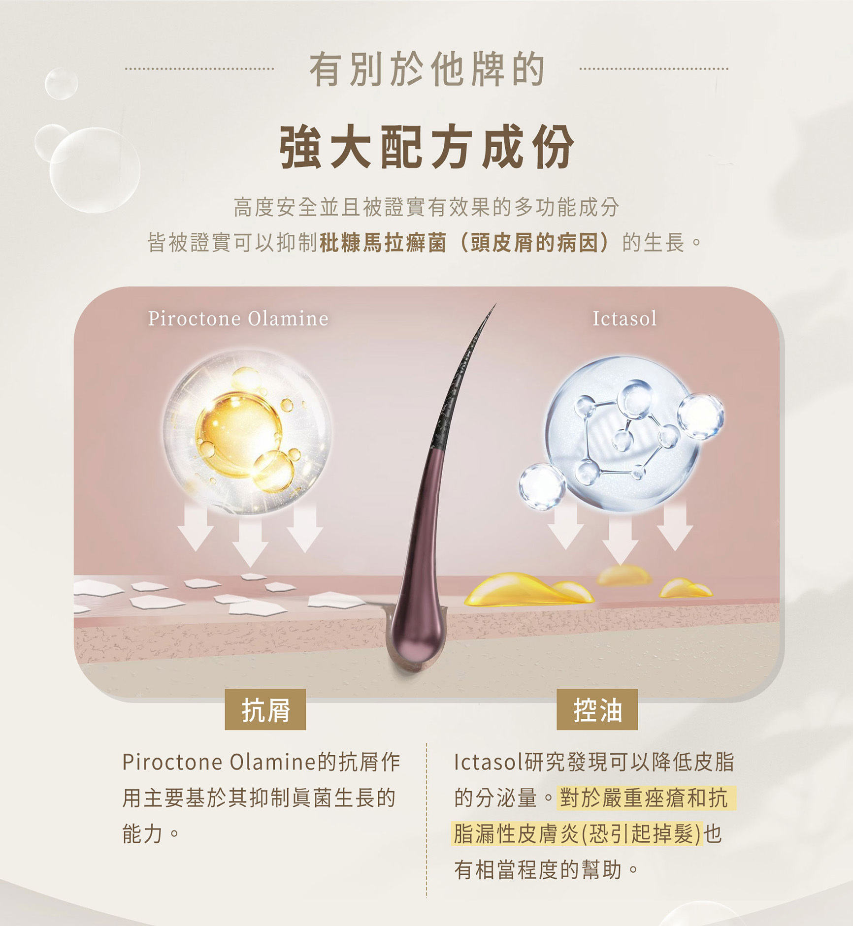 有別於他牌的強大配方成分