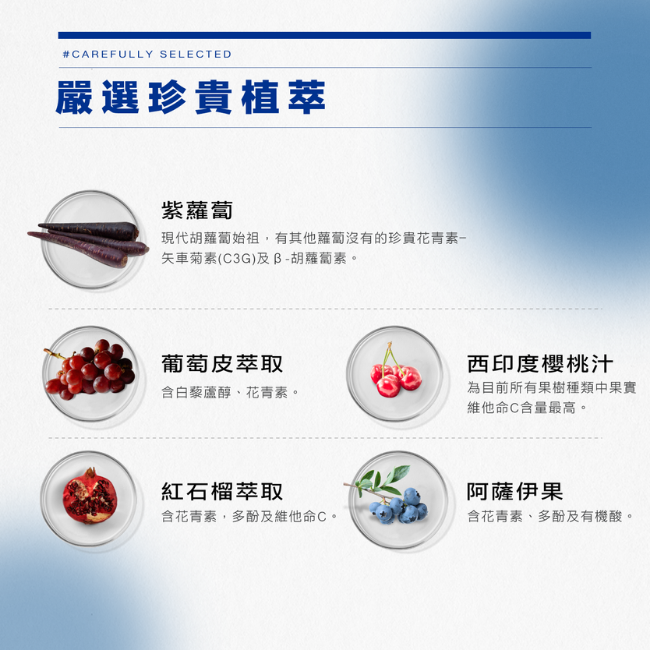 嚴選珍貴植萃,紫蘿蔔,現代胡蘿蔔始祖,有其他蘿蔔沒有的珍貴花青素,矢車菊素,C3G,β-胡蔔素,葡萄皮萃取,含白藜蘆醇,花青素,西印度櫻桃汁,為目前所有果樹種類中果實,維他命C含量最高,紅石榴萃取,含花青素,多酚及維他命C,阿薩伊果,含花青素