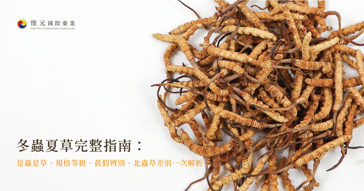 冬蟲夏草