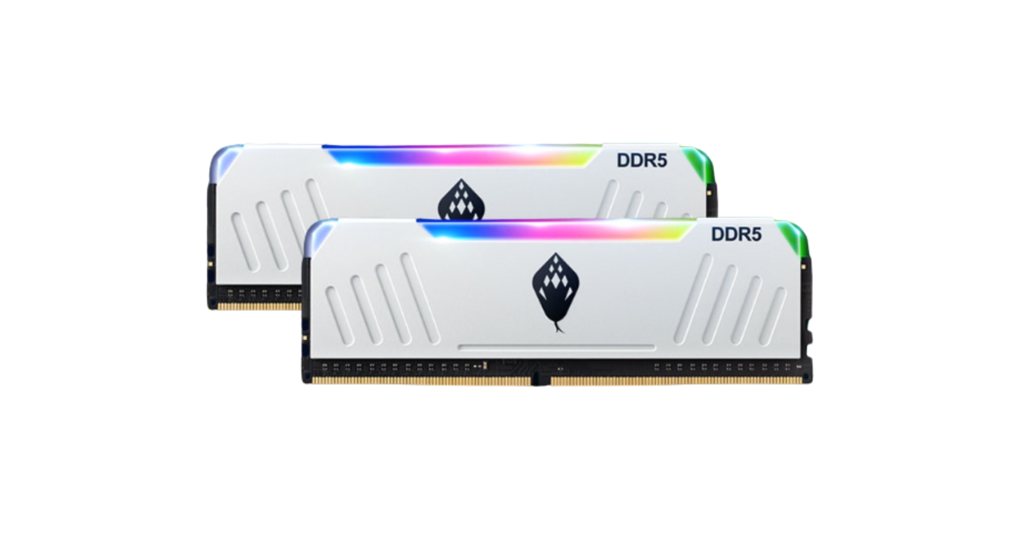 Anacomda ET RGB DDR5 6000 32GB(16GBx2) CL36 -黑/白