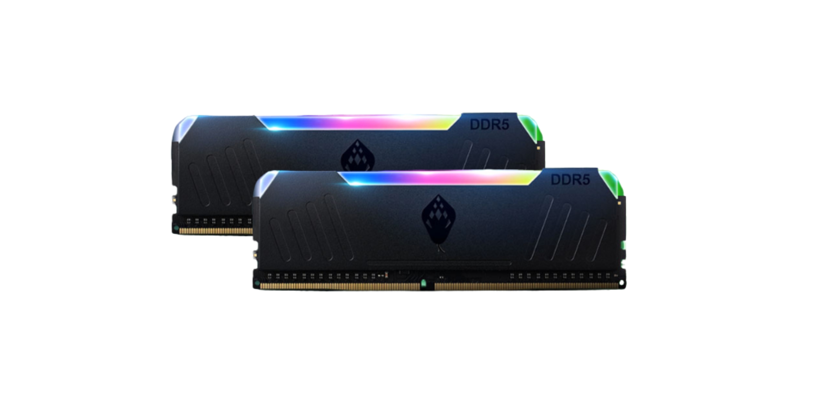 Anacomda ET RGB DDR5 6000 32GB(16GBx2) CL36 -黑/白
