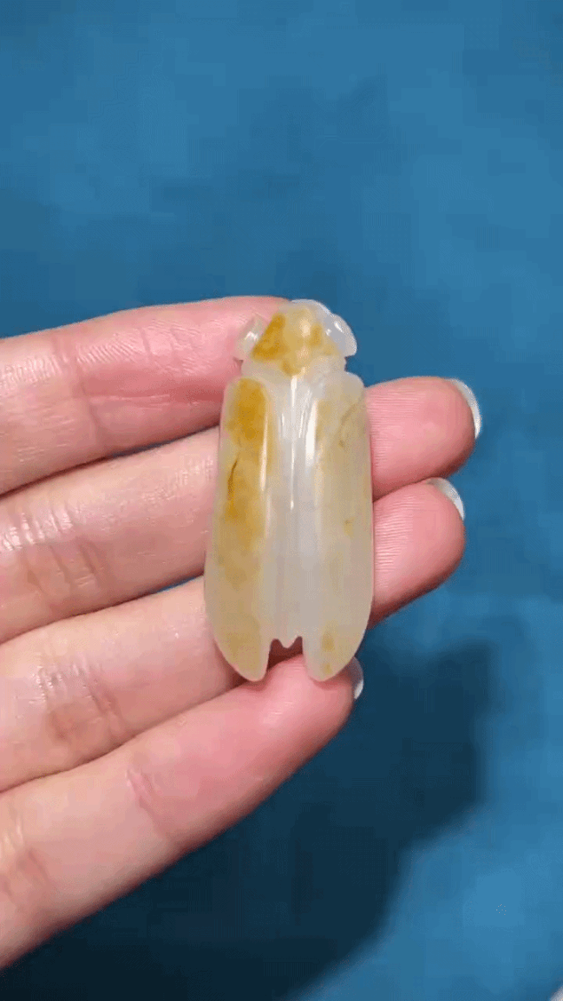 3821 和田玉籽料仿古蟬