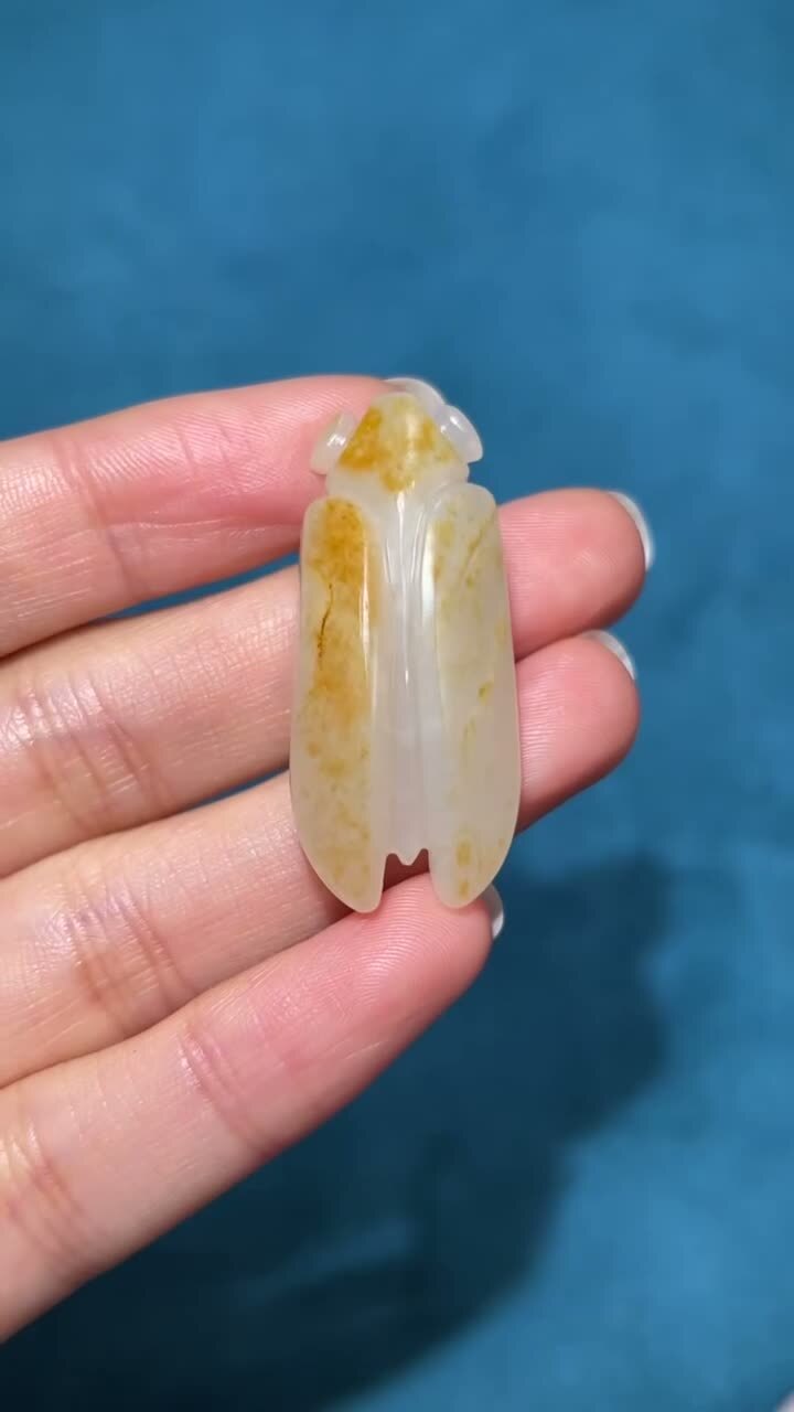和田玉籽料仿古蟬,天然和田玉軟玉