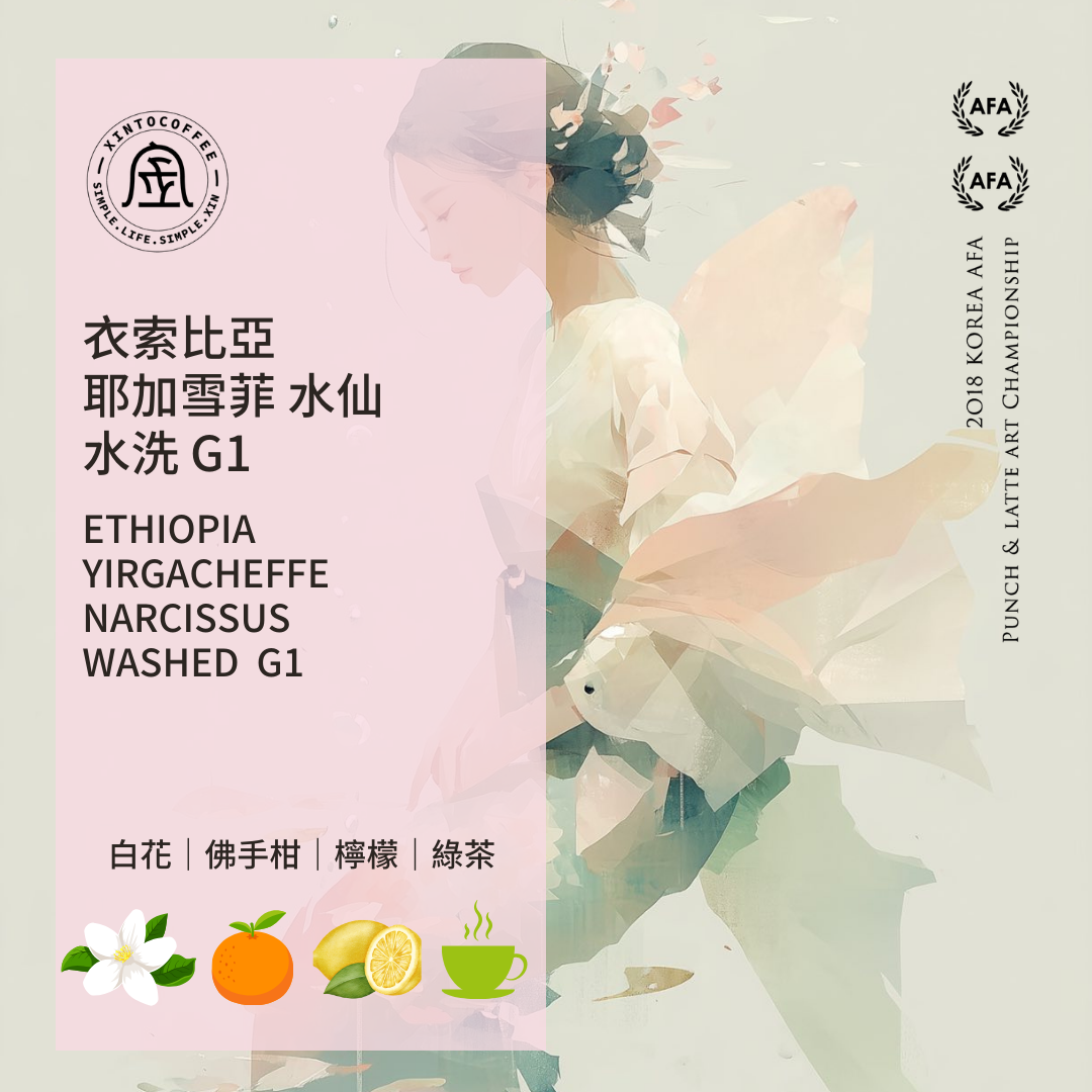 衣索比亞耶加雪菲水仙水洗G1 咖啡豆｜淺焙・世界咖啡雙金牌｜Xinto Coffee