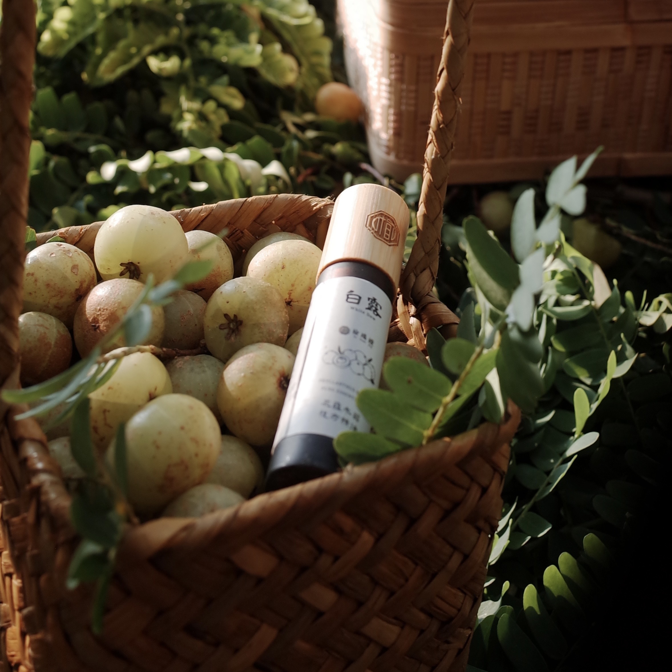 油甘果 複方滾珠精油 10ml