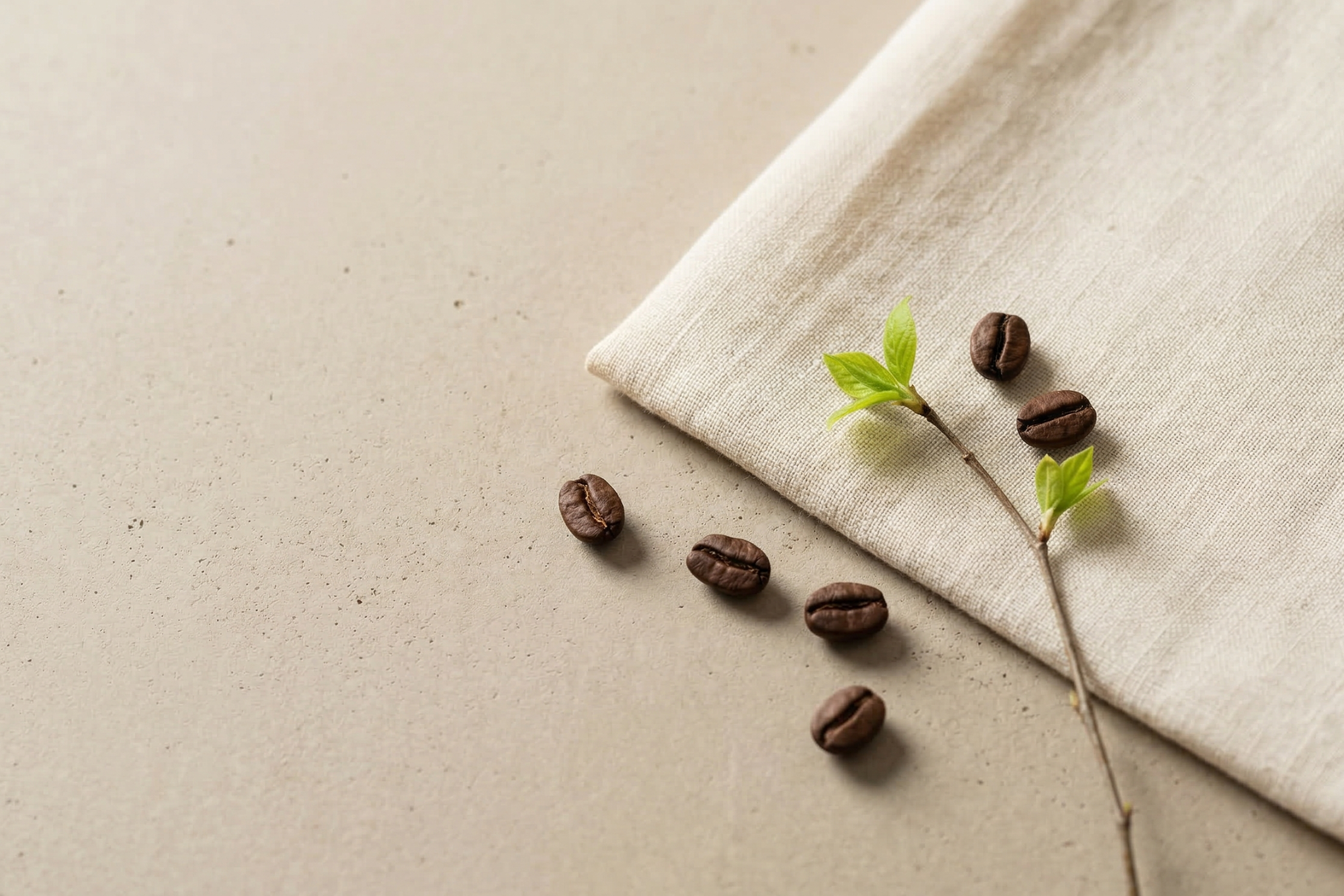 專注當下的療癒練習：寫給新手的「手沖咖啡入門」，完美的味覺平衡：用「手工餅乾禮盒」完整這場練習