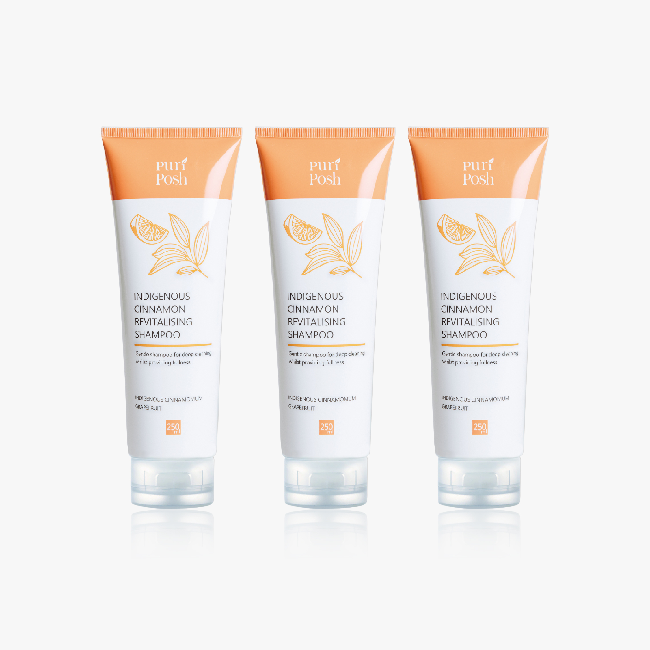 土肉桂豐澤輕盈洗髮精3入250ml組