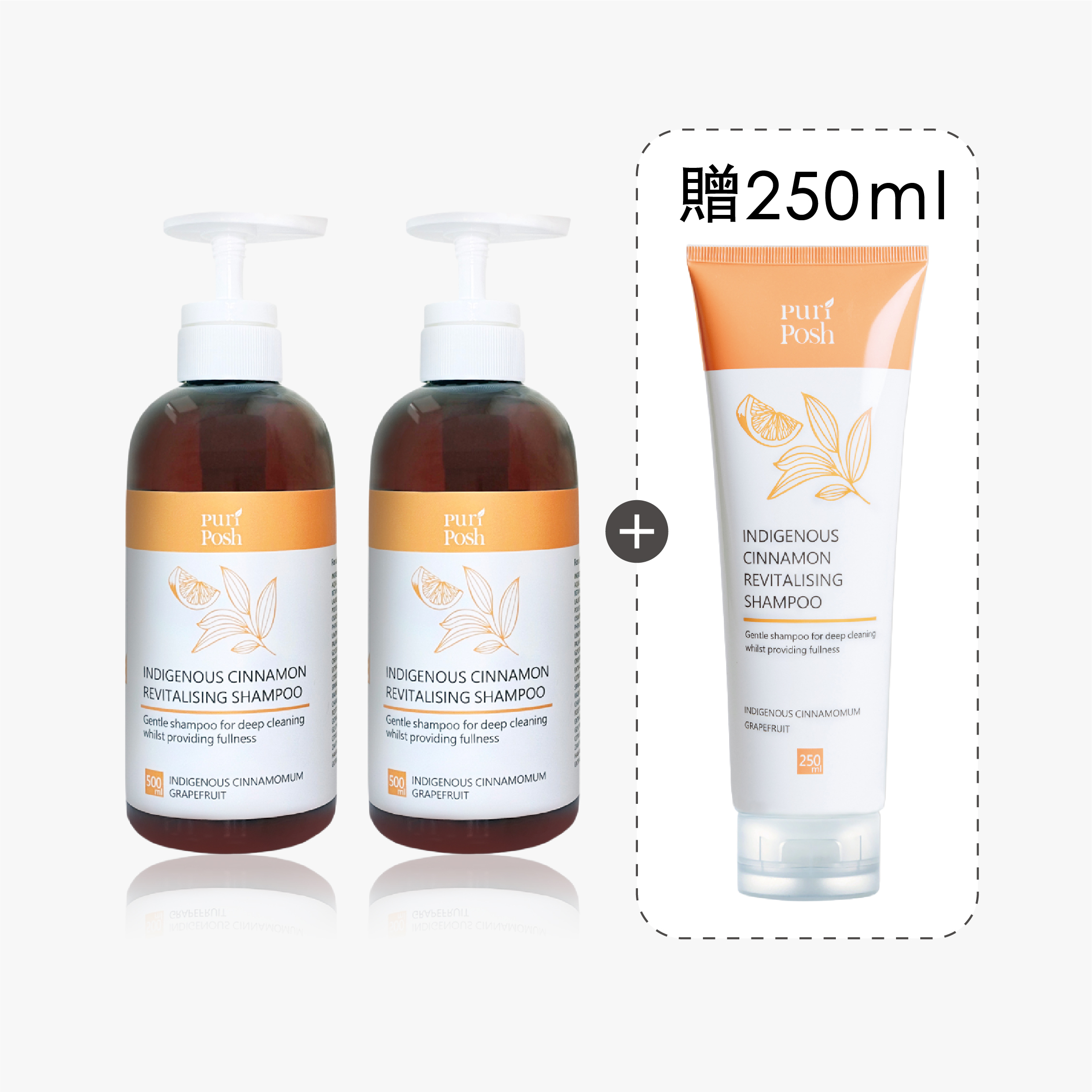 【買2送1】土肉桂豐澤輕盈洗髮精組