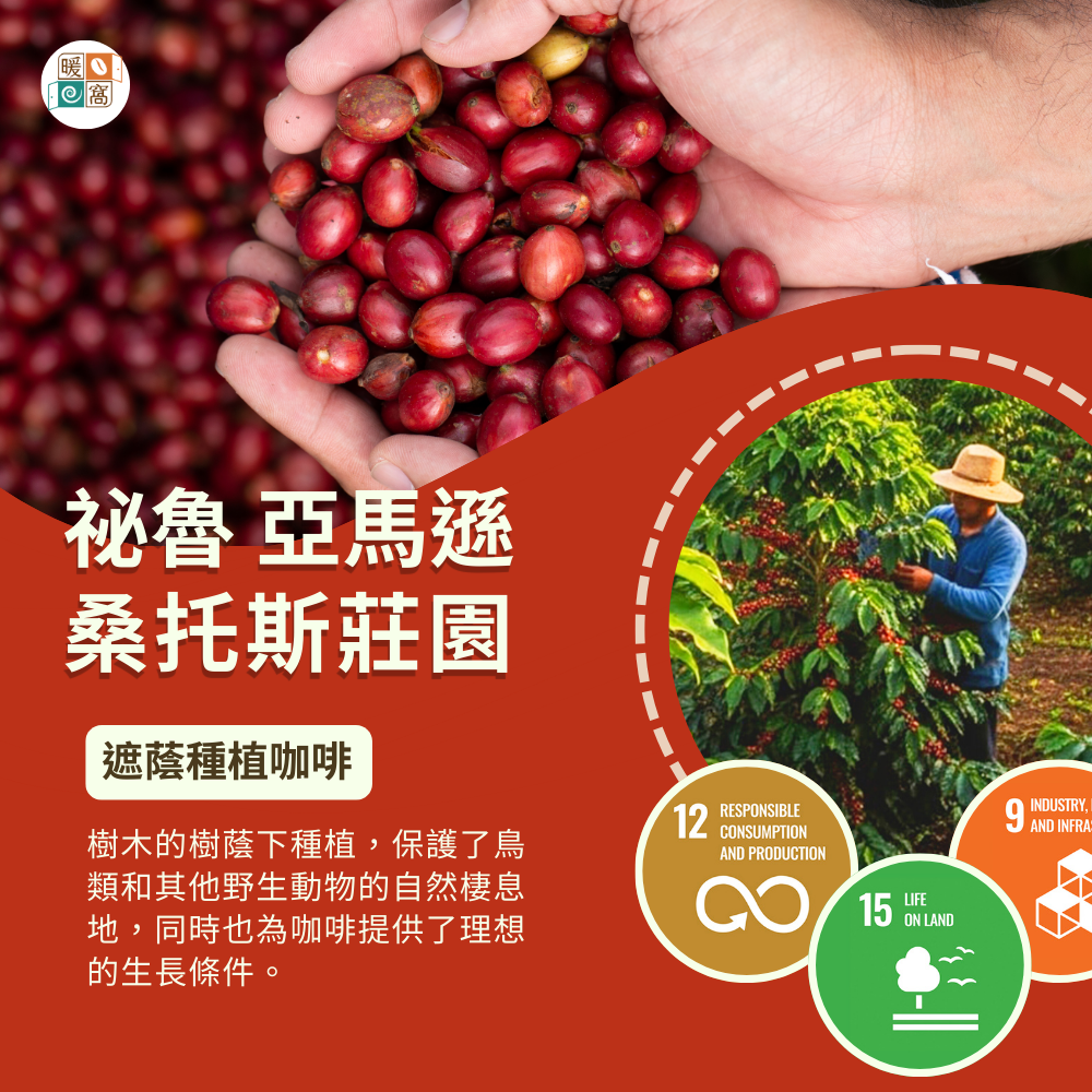 祕魯 亞馬遜 桑托斯莊園 咖啡的永續實踐