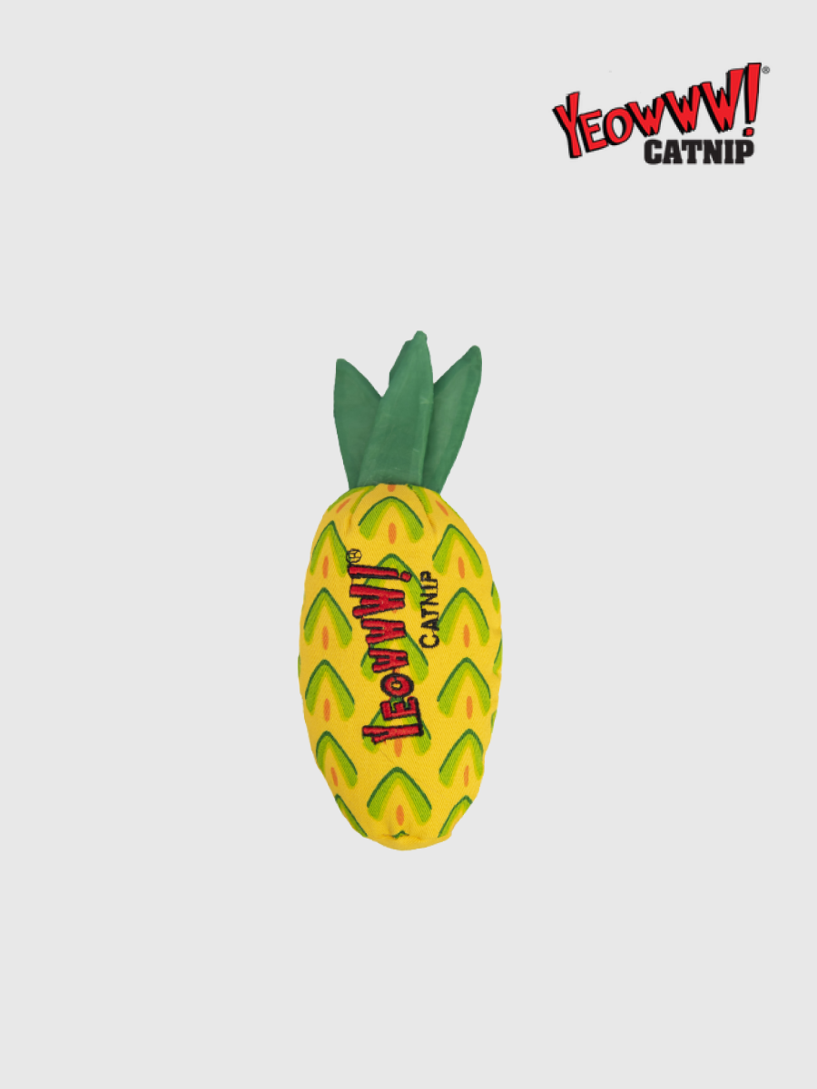 【Yeowww!】美國瘋狂貓玩具｜鳳梨