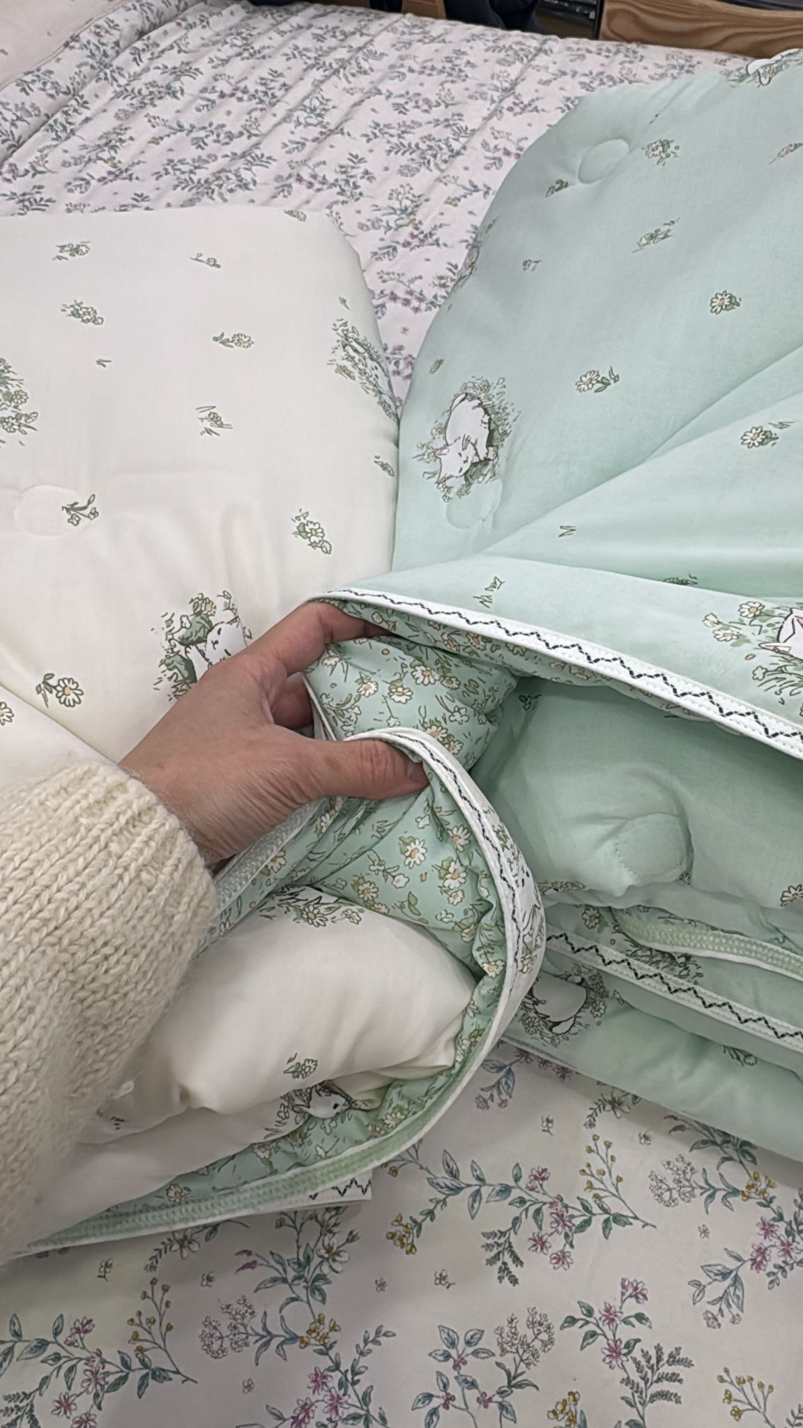 [韓國棉被] 超細莫代爾・「空氣感面料」・超舒服・生物水洗・防塵滿防敏抗菌 | 雛菊小貓 四季被 2色（關鍵字：GJ1）