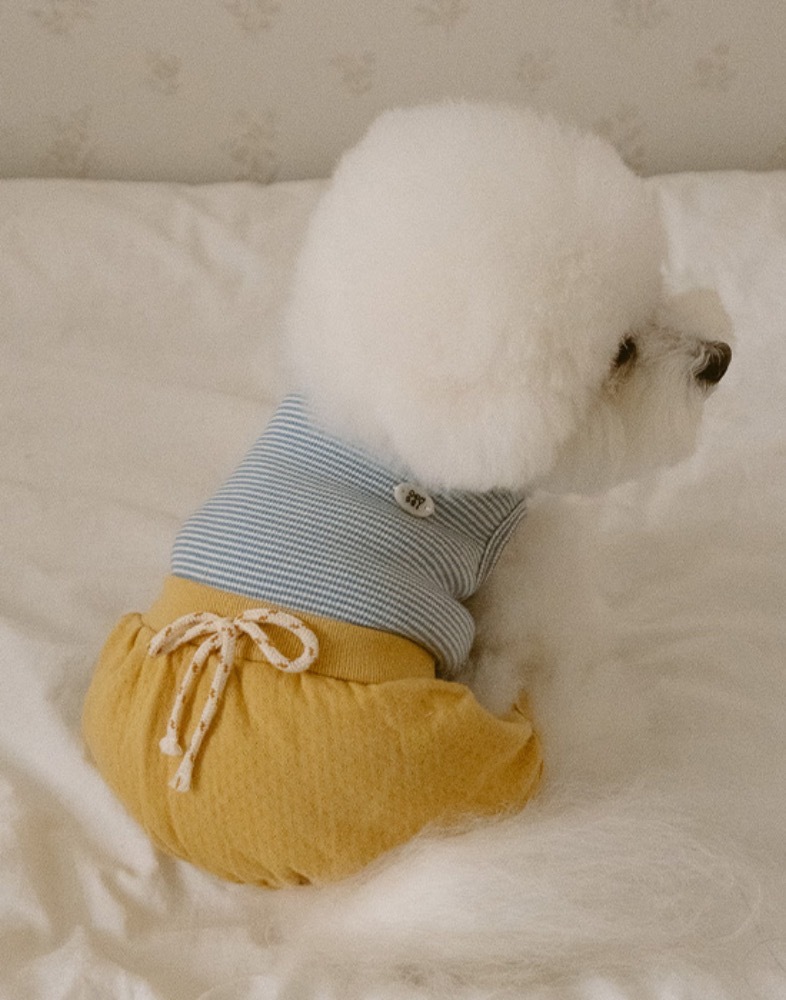 Noutti 寶寶連身褲裝_黃色