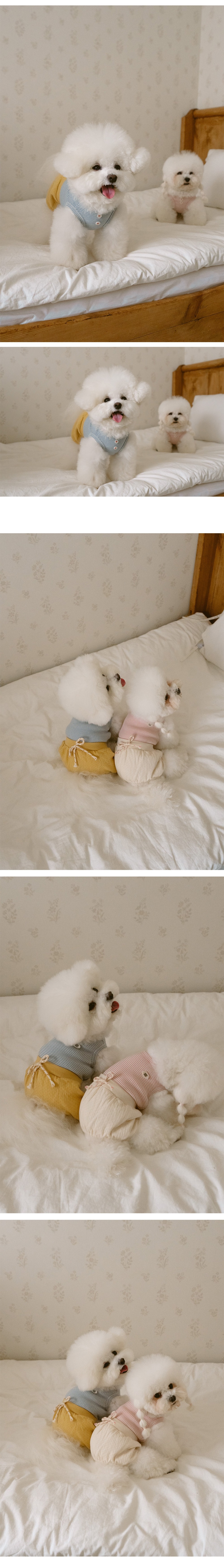 Noutti 寶寶連身褲裝_黃色