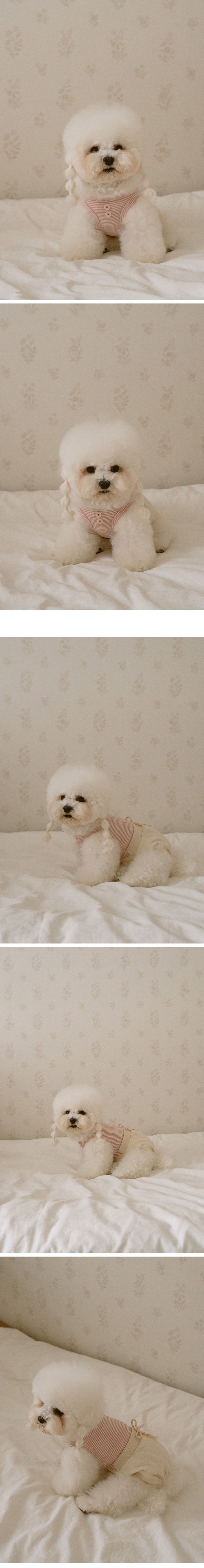 Noutti 寶寶連身褲裝_櫻花粉