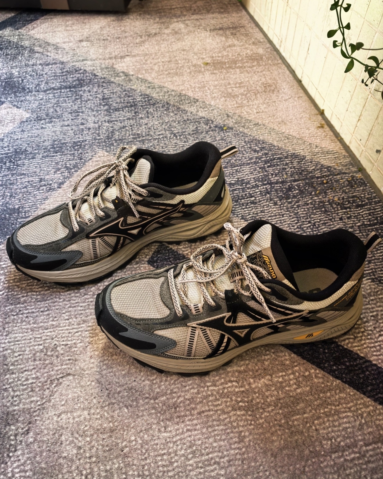 【Focus Store】預購 Miuzno Racer Trail "Light Brown" 淺褐色 D1GH223808